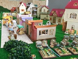 IMG_1741.jpg