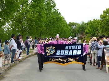 ks0503011.jpg